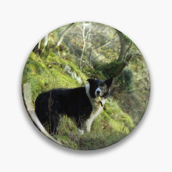 Item preview, Indy, King of the woods. designed and sold by Michael Haslam.