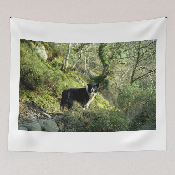 Item preview, Indy, King of the woods. designed and sold by Michael Haslam.