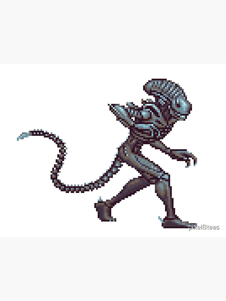 Alien Vs Predator Xenomorph