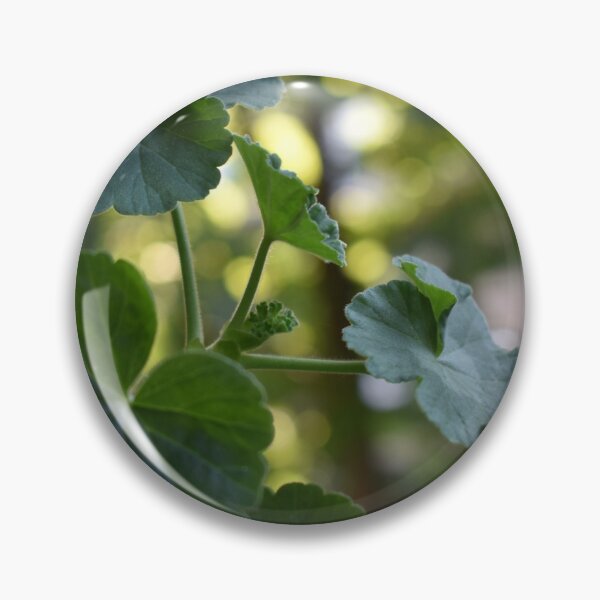 Item preview, Pelargonium in soft green tones with sunspots designed and sold by mariya-ivanova.