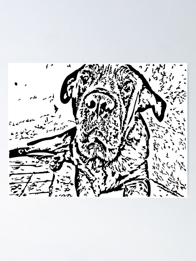 "Cane Corso Dog Memories" Poster for Sale by iUrbex Redbubble