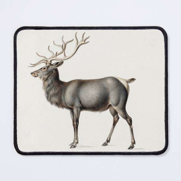 Item preview, European Elk designed and sold by NickLivin.