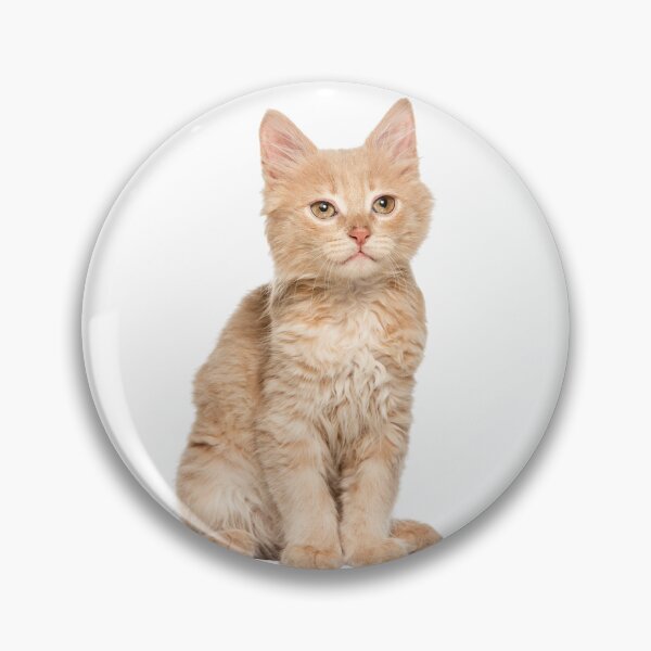 Item preview, funny cat Classic adorable pet  designed and sold by BIGHIDENE.