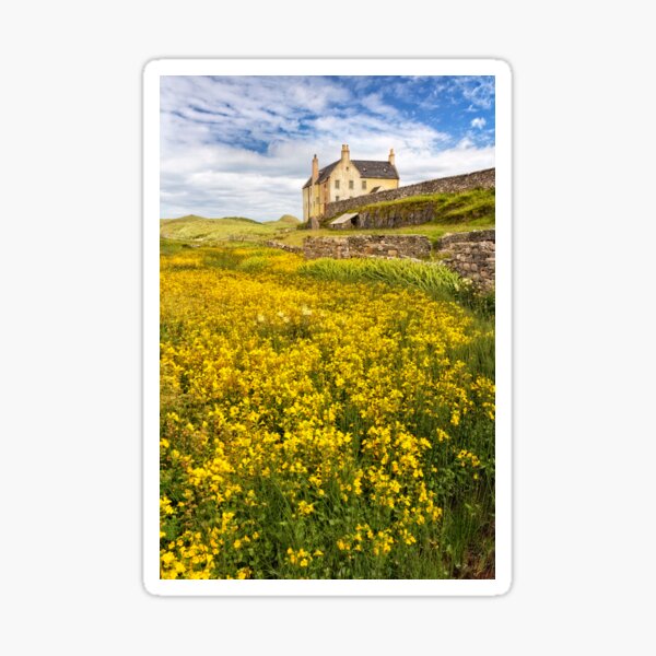 Item preview, Balnakeil House Summer Flowers Durness NC500 Scotland. designed and sold by PhotosEcosse.