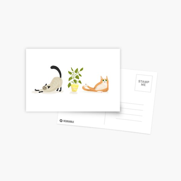 Two lounging cats Postcard