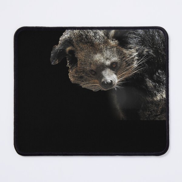 Item preview, Lola the Binturong (Bearcat) designed and sold by andrew82984.