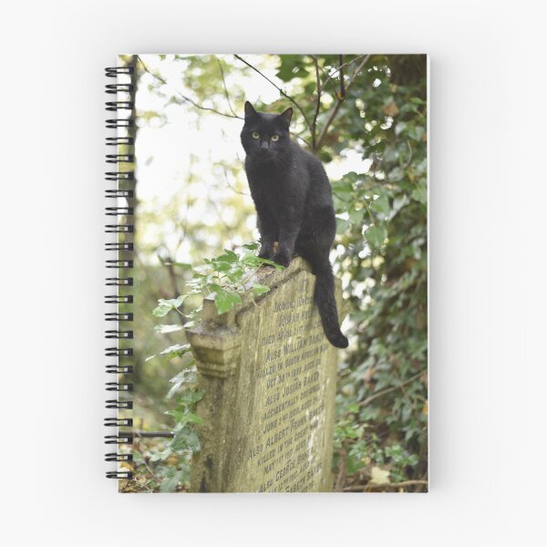 Item preview, Graveyard Pussy designed and sold by dot-hash.