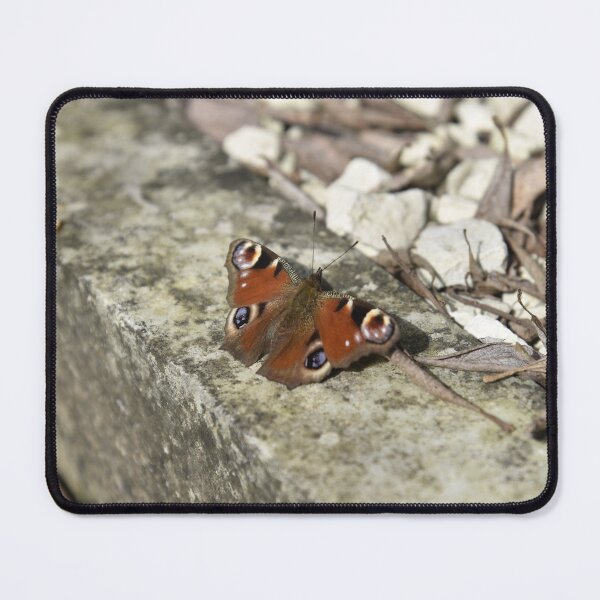 Item preview, Flutterby designed and sold by dot-hash.