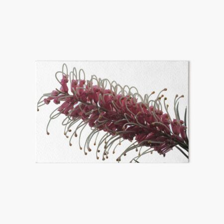 Great Grevillea Art Board Print