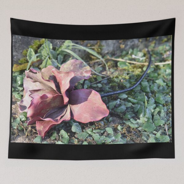 Item preview, Old Rosey designed and sold by dot-hash.