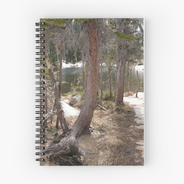Item preview, Trees in Colorado Forest designed and sold by Haley-Marshall.