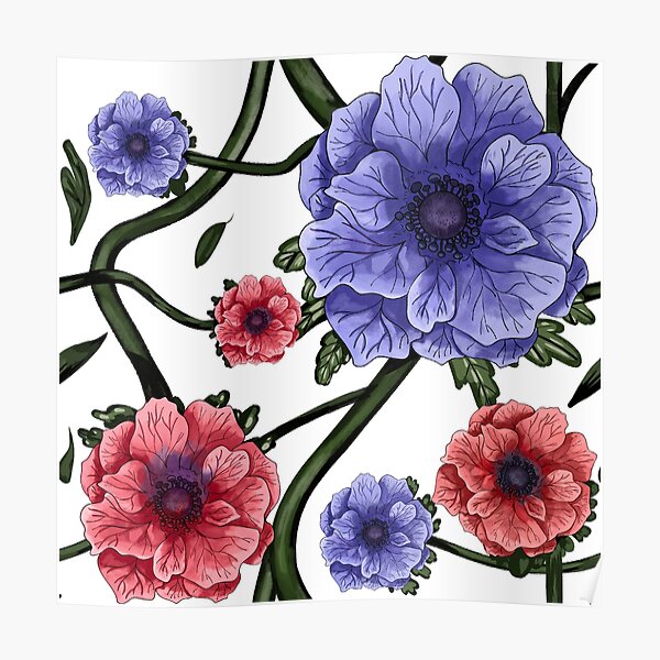 Póster «Flor de anémona púrpura, Windflower: Fondo blanco» de  Jessiemay-arts | Redbubble