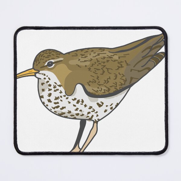Item preview, Spotted Sandpiper! designed and sold by okie-dokie-art.