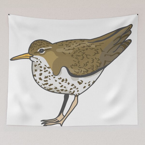 Item preview, Spotted Sandpiper! designed and sold by okie-dokie-art.