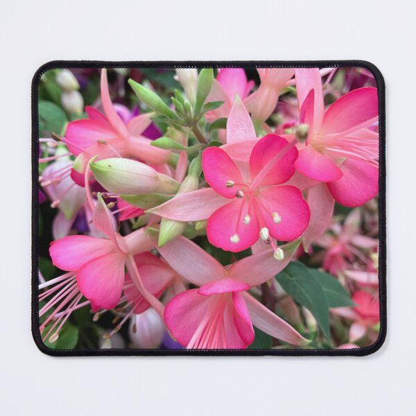 Item preview, Fuchsia flowers designed and sold by SI-GER.