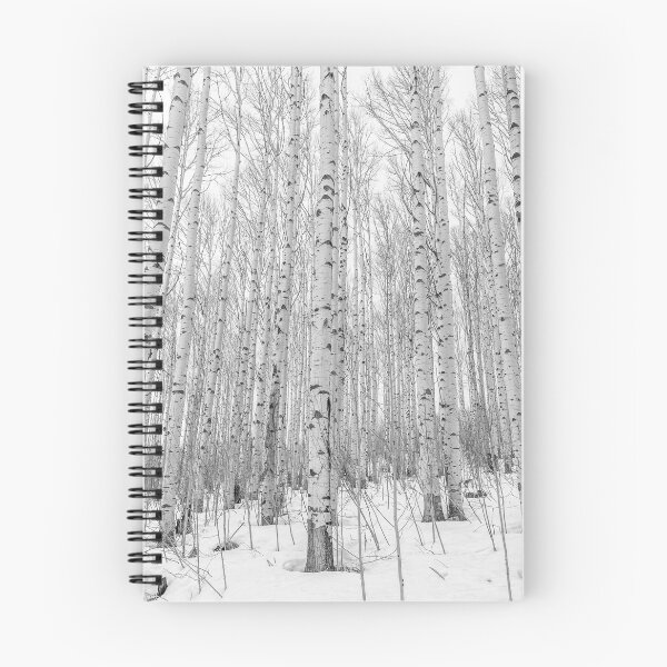Item preview, Winter Aspens designed and sold by Eric Glaser.