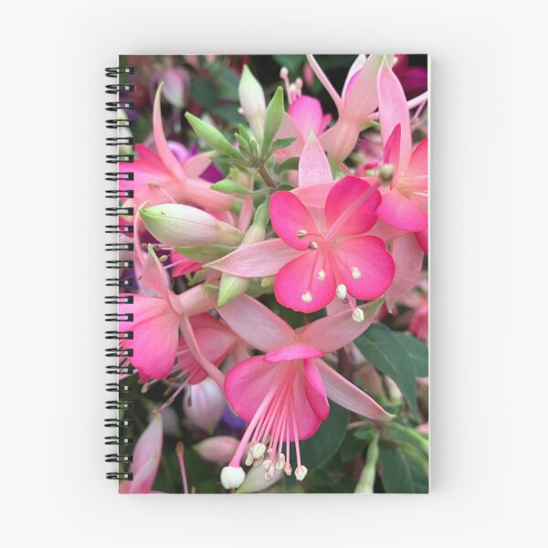 Item preview, Fuchsia flowers designed and sold by SI-GER.