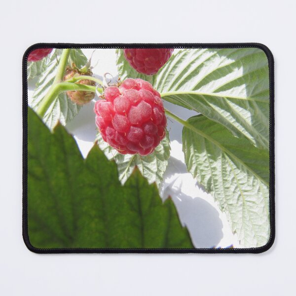 Item preview, Raspberry  designed and sold by Art by Dom G.