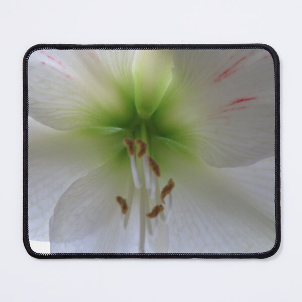 Artikelvorschau, Orchidee entworfen und verkauft von Art by Dom G.