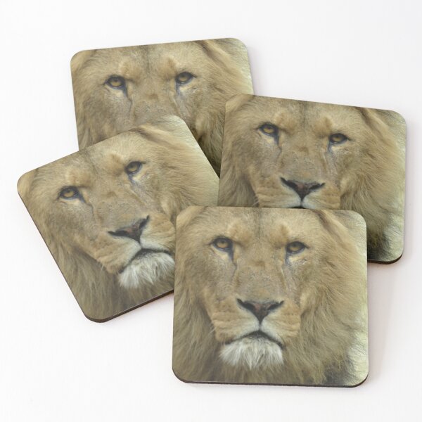 Item preview, Lion is king designed and sold by Art by Dom G.
