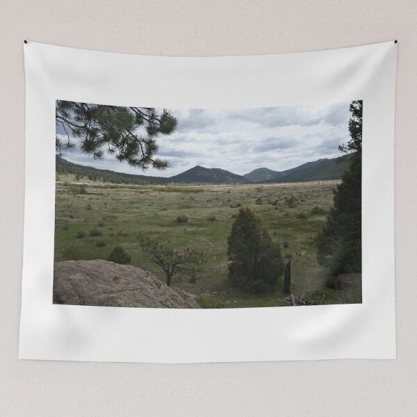 Item preview, Looking at the Hills designed and sold by Haley-Marshall.