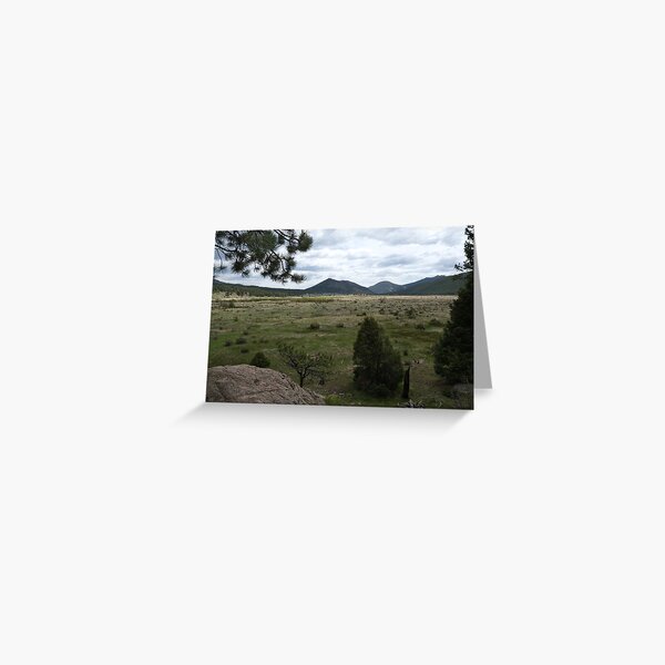 Horse Grassy Hills Tress School House NEW Small Blank Greeting Note Card 
