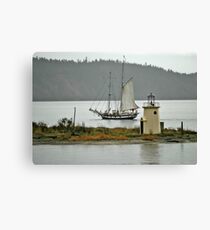 Into the Mist Canvas Print