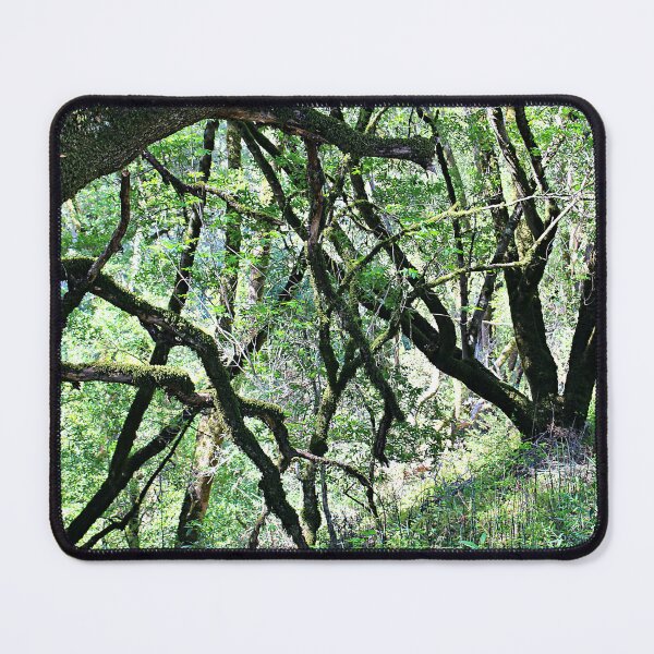 Item preview, The Dancing Oak Trees designed and sold by Martha Sherman.