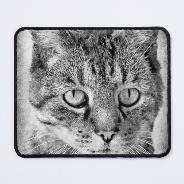 Item preview, Cat looking in you designed and sold by Ivan Šanjug.