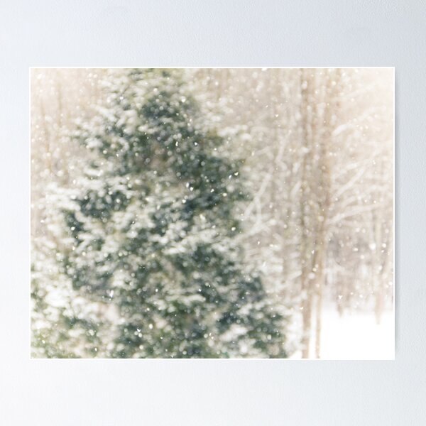 Winter Snow Poster
