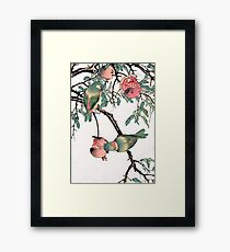 Pomegranate and Lovebirds Framed Print