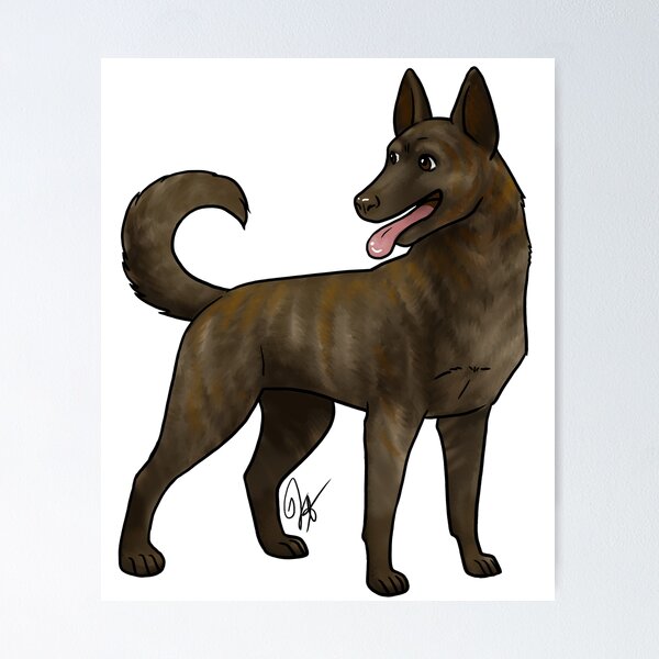 Brindle sales german shepherd