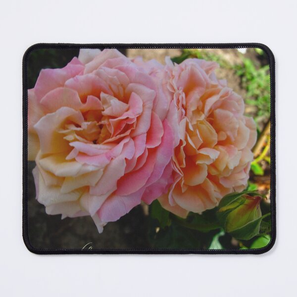Item preview, Double the rose fun designed and sold by MarianBendeth.