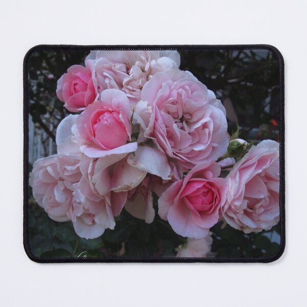 Item preview, Beautiful Bonicas designed and sold by MarianBendeth.