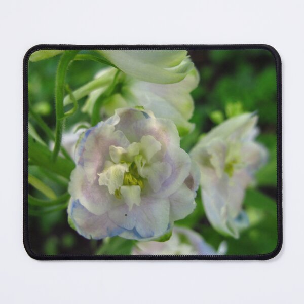 Item preview, Delpbhiniums of June designed and sold by MarianBendeth.