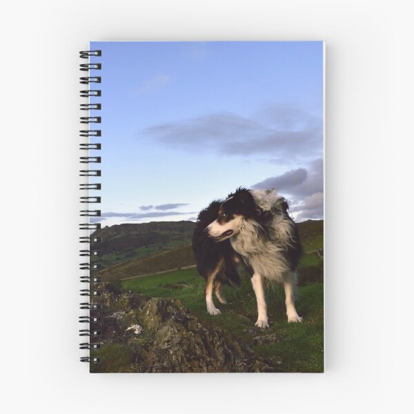 Item preview, Lord Of All He Surveys. designed and sold by Michael Haslam.