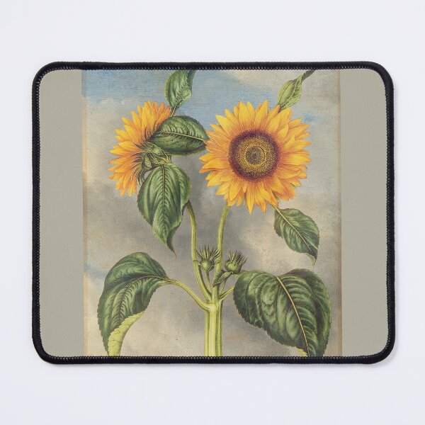 Item preview, Vintage sunflower grunge style 5 designed and sold by WesternExposure.