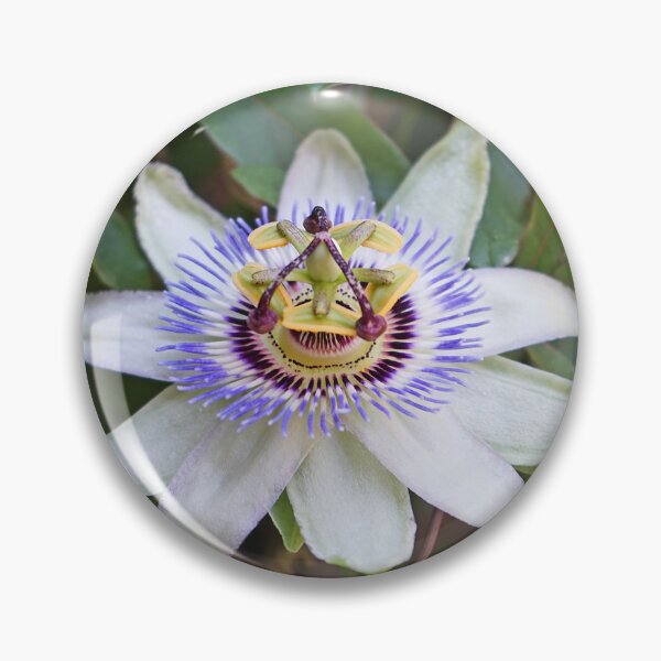 Item preview, flower designed and sold by kouradia.