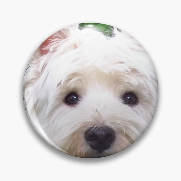 Item preview, The Westie stare by Brody B. designed and sold by MarianBendeth.