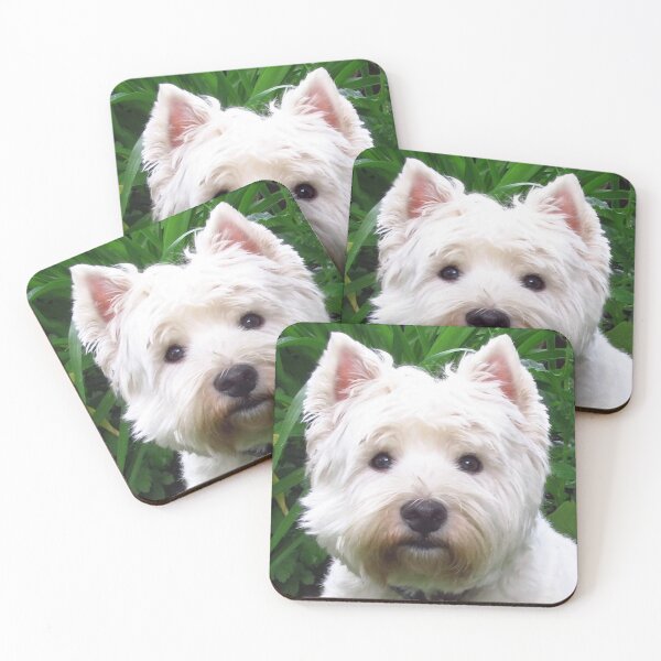 Item preview, The Westie stare by Brody B. designed and sold by MarianBendeth.