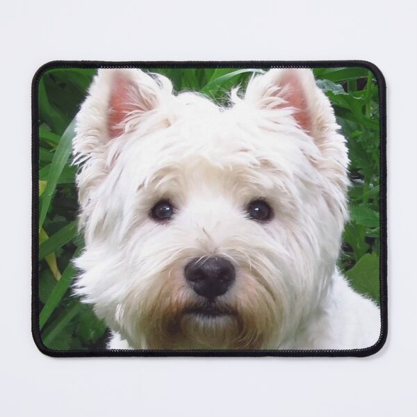 Item preview, The Westie stare by Brody B. designed and sold by MarianBendeth.