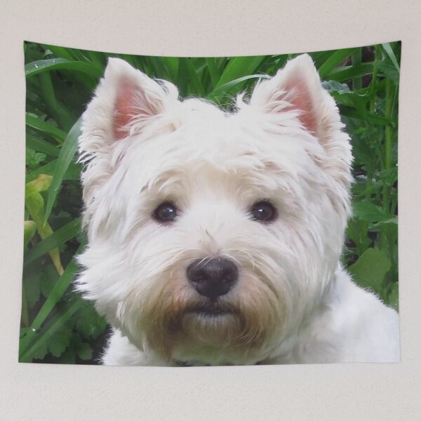 Item preview, The Westie stare by Brody B. designed and sold by MarianBendeth.
