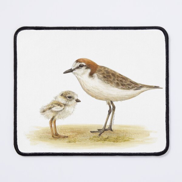 Item preview, Red-capped plover designed and sold by RedCloudDesign.