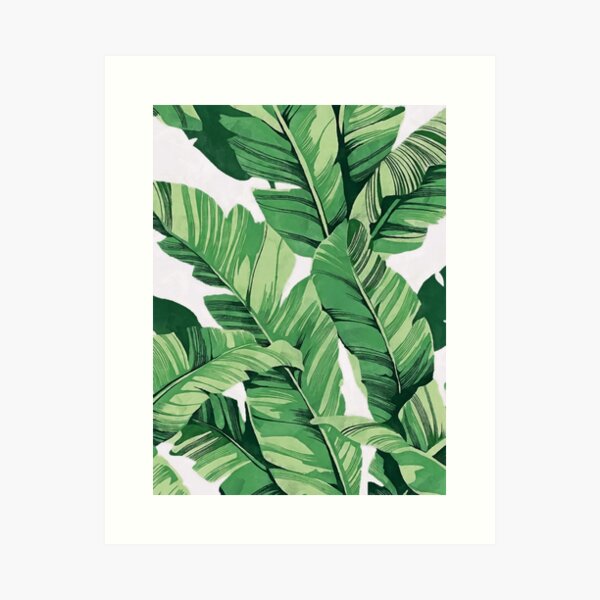 Item preview, Tropical banana leaves III designed and sold by CatyArte.