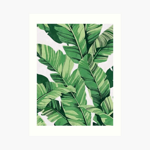 Tropical banana leaves III Art Print