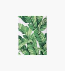 Tropical banana leaves III Galeriedruck