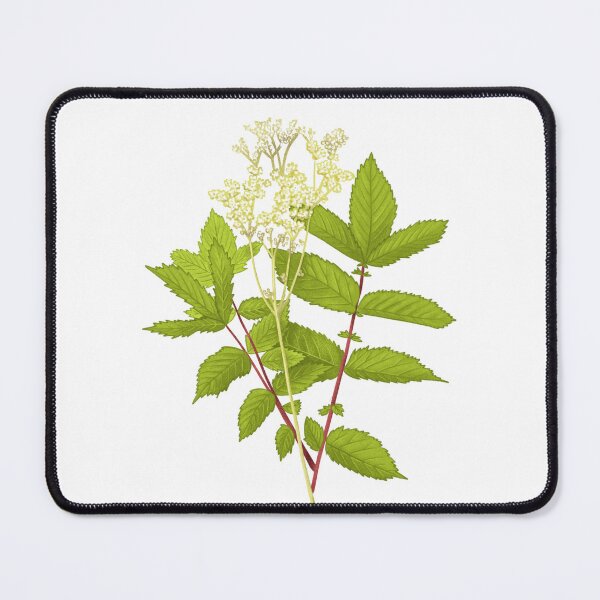 Item preview, Meadowsweet designed and sold by SilviPavlova.