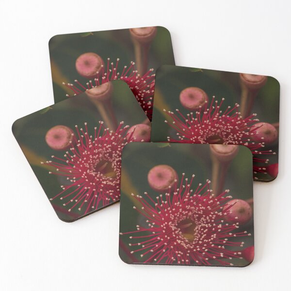 Item preview, Red Flowering Gum Flower designed and sold by suziq1962.