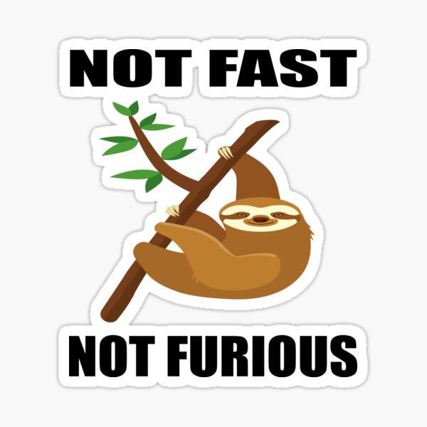 Not Fast Not Furious Sticker