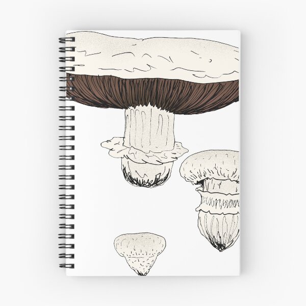 Item preview, Agaricus bitorquis designed and sold by Stanton.